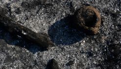 Bully Businessman Assaulted Neighbor, Dragged Down by Hair in Row Over Bird Nests