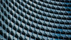 CHUTTERSNAP on Unsplash