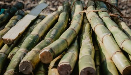 Kenya Sugar Millers Threaten Shutdown Over Court-Ordered Increase in Farmers' Pay