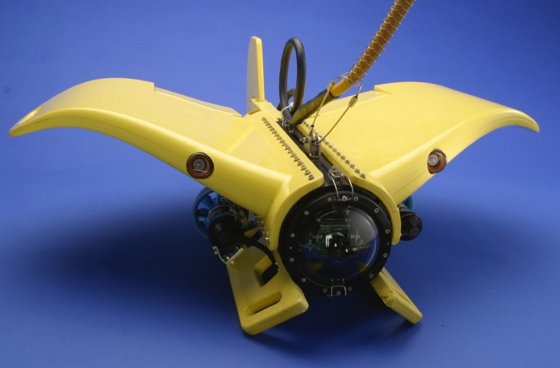 Unleashing Efficiency: How Nova Ray2™ Advances Deep-Sea Inspections