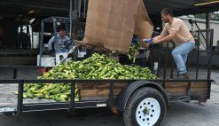 Farmers In Florida Deal With Excess Crops