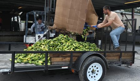 Farmers In Florida Deal With Excess Crops