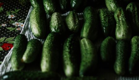 Cucumbers Recalled in 15 States After Salmonella Outbreak Sickens Over