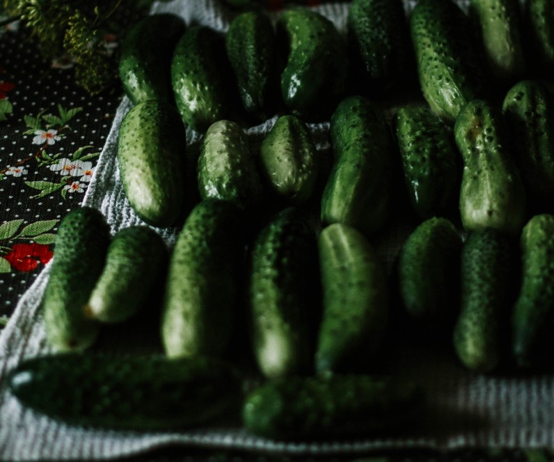 Cucumbers Recalled in 15 States After Salmonella Outbreak Sickens Over