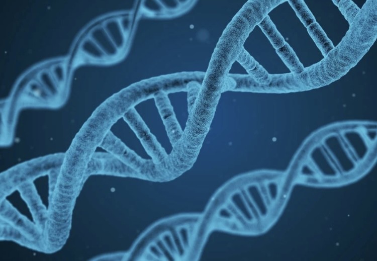 DNA