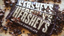 Hershey Responds to Global Cocoa Shortage with Product Shift, Price