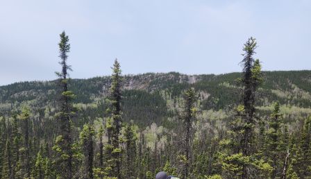 The Rise of Rare Earths Mining in North America