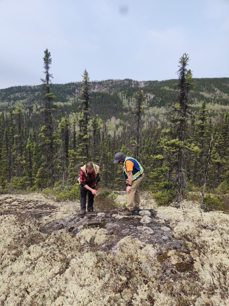 The Rise of Rare Earths Mining in North America
