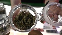 NY Cannabis Shops Sue State After Regulators Admit School Zone
