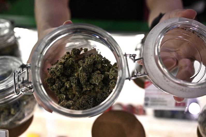 NY Cannabis Shops Sue State After Regulators Admit School Zone