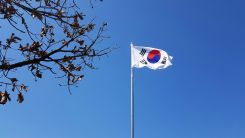 South Korea Presses US Over Immigration Raid at Hyundai-LG Battery