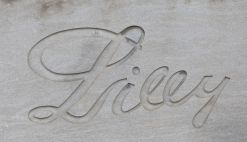 Eli Lilly Announces $6.5B Texas Facility to Meet Soaring Demand