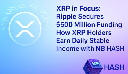 XRP in Focus