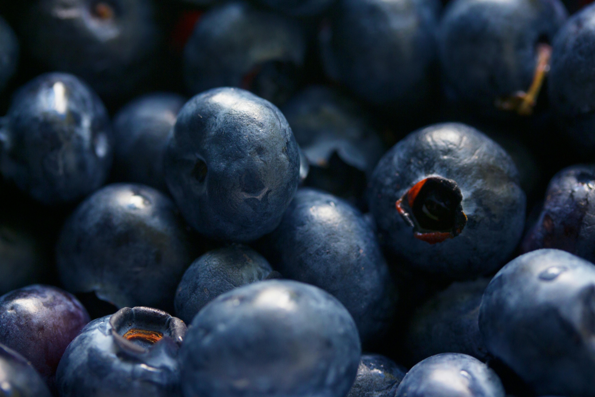 Oregon Potato Company Recalls 55,000 Pounds Of Frozen Blueberries Over Listeria Risk
