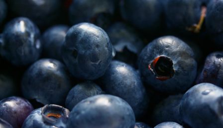 Oregon Potato Company Recalls 55,000 Pounds of Frozen Blueberries Over
