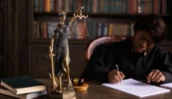 DOJ Sues SeaWorld Parent Over Ban on Wheeled Walkers, Citing