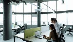 Why Workplace Culture Matters More Than You Think